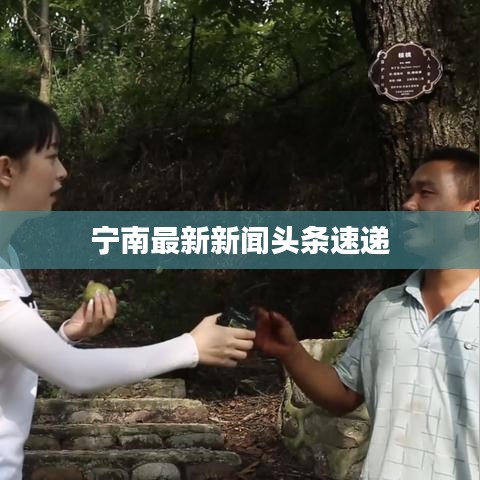 宁南最新新闻头条速递
