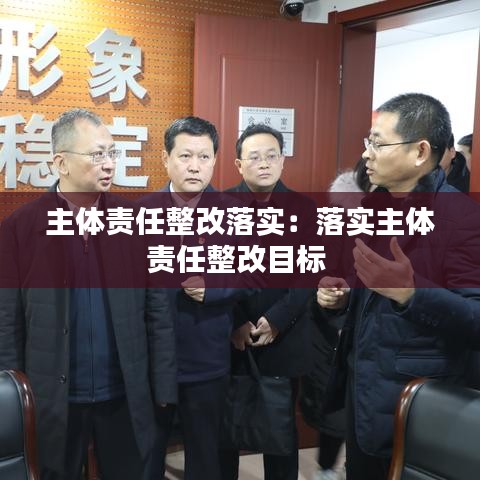 主体责任整改落实：落实主体责任整改目标 