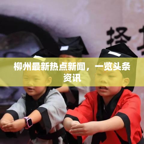 柳州最新热点新闻，一览头条资讯