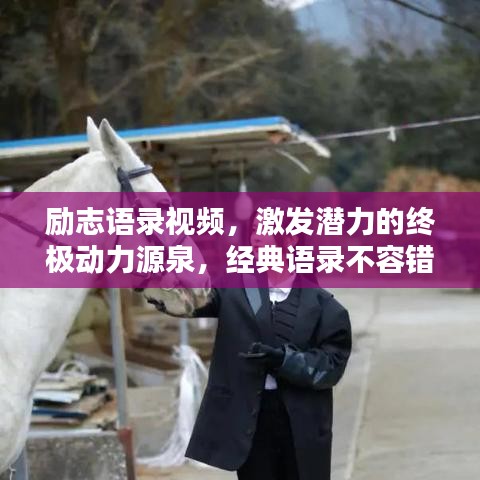 励志语录视频，激发潜力的终极动力源泉，经典语录不容错过！