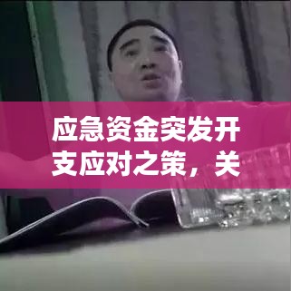 应急资金突发开支应对之策，关键时刻的资金管理重要性解析