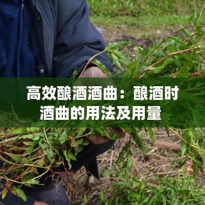 高效酿酒酒曲：酿酒时酒曲的用法及用量 