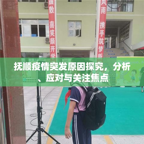 抚顺疫情突发原因探究，分析、应对与关注焦点