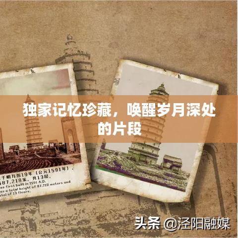 独家记忆珍藏，唤醒岁月深处的片段