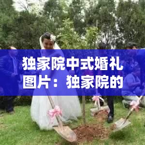独家院中式婚礼图片：独家院的设计图片 