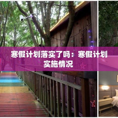 寒假计划落实了吗：寒假计划实施情况 