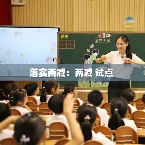 落实两减：两减 试点 
