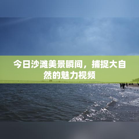 今日沙滩美景瞬间，捕捉大自然的魅力视频