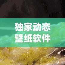 独家动态壁纸软件，让桌面瞬间充满生命力！