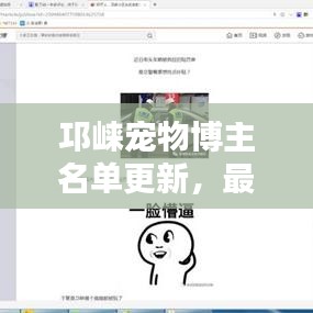 邛崃宠物博主名单更新，最新消息大揭秘！