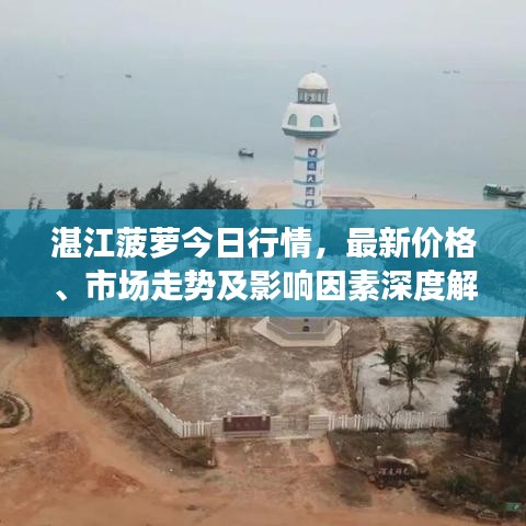 湛江菠萝今日行情，最新价格、市场走势及影响因素深度解析