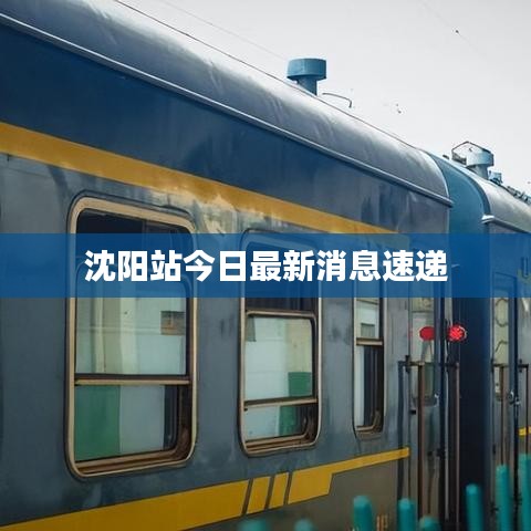 沈阳站今日最新消息速递