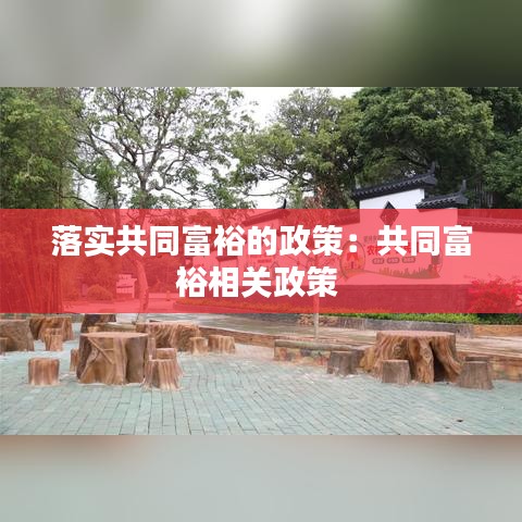 落实共同富裕的政策：共同富裕相关政策 