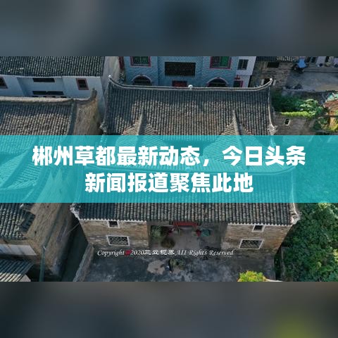 花开无言 第2页