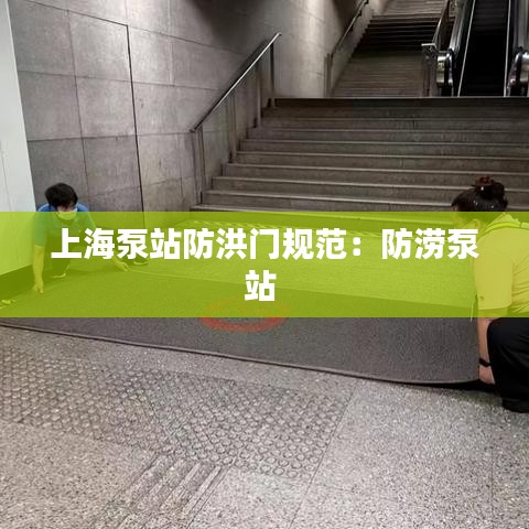 上海泵站防洪门规范：防涝泵站 