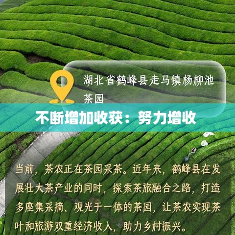 持之以恒 第2页