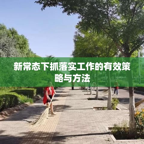 新常态下抓落实工作的有效策略与方法