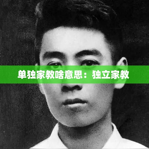 单独家教啥意思：独立家教 