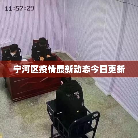 宁河区疫情最新动态今日更新