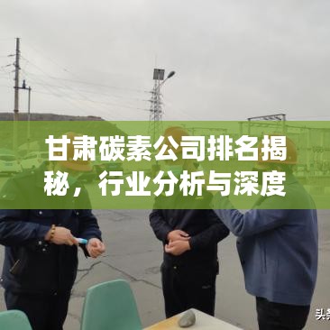 甘肃碳素公司排名揭秘，行业分析与深度解读