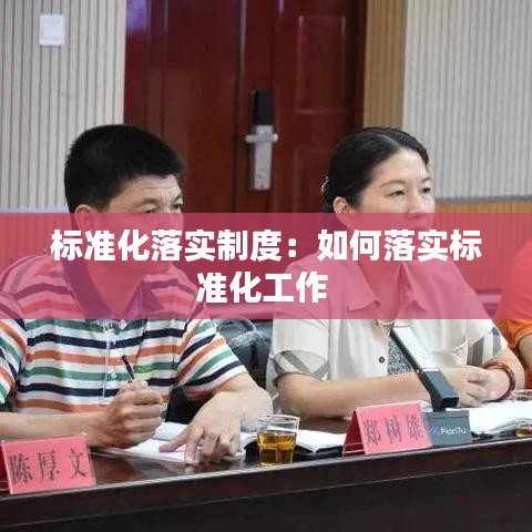标准化落实制度：如何落实标准化工作 