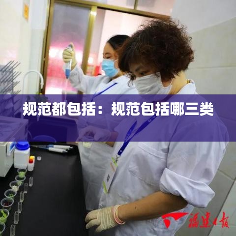 规范都包括：规范包括哪三类 