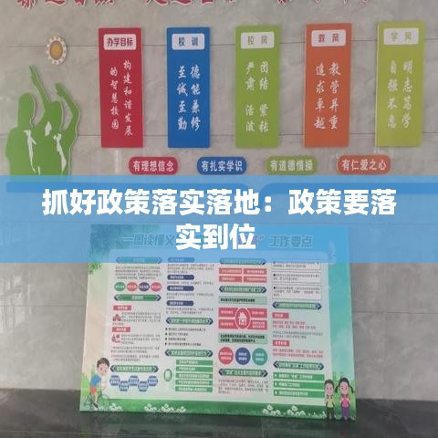 抓好政策落实落地：政策要落实到位 