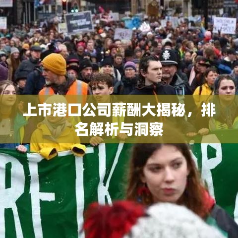 上市港口公司薪酬大揭秘，排名解析与洞察
