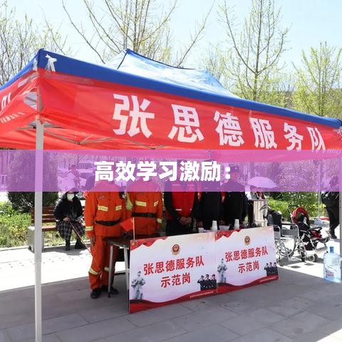 高效学习激励： 