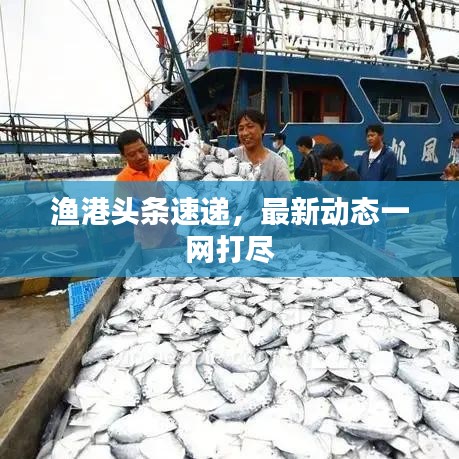 渔港头条速递，最新动态一网打尽