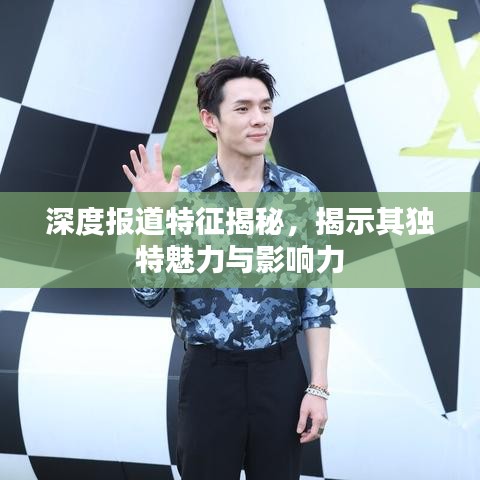 深度报道特征揭秘，揭示其独特魅力与影响力