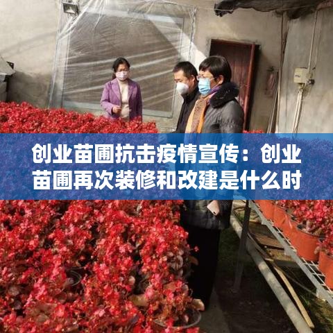 创业苗圃抗击疫情宣传：创业苗圃再次装修和改建是什么时候 