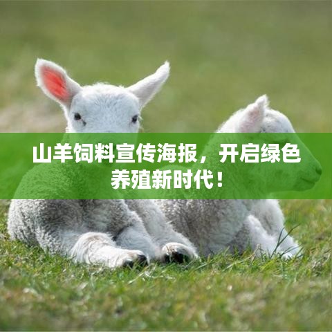 山羊饲料宣传海报，开启绿色养殖新时代！