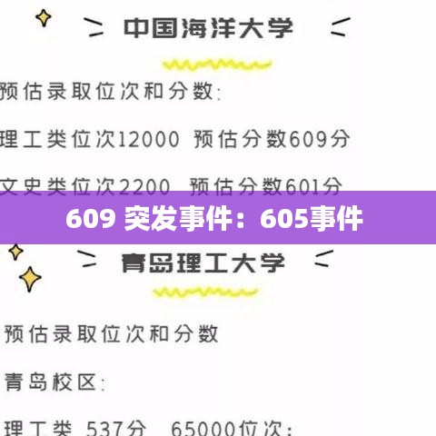 609 突发事件：605事件 