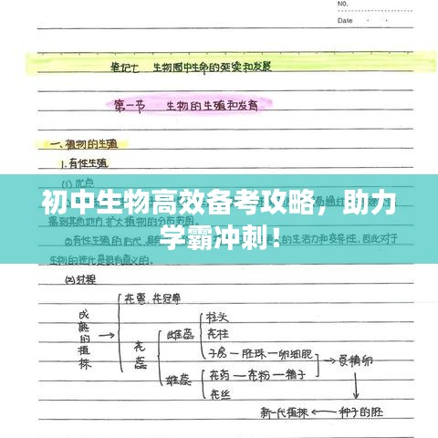 初中生物高效备考攻略，助力学霸冲刺！