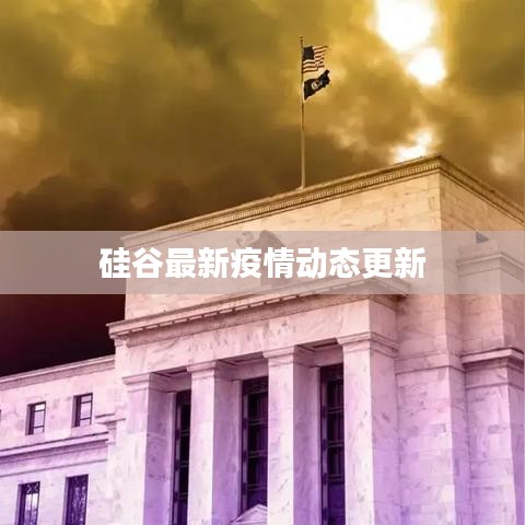 硅谷最新疫情动态更新