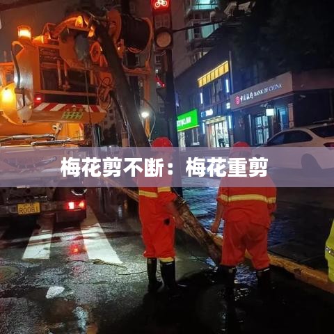 梅花剪不断：梅花重剪 