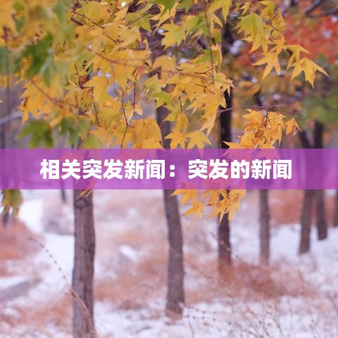 相关突发新闻：突发的新闻 