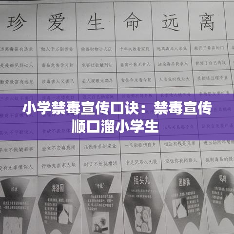 小学禁毒宣传口诀：禁毒宣传顺口溜小学生 