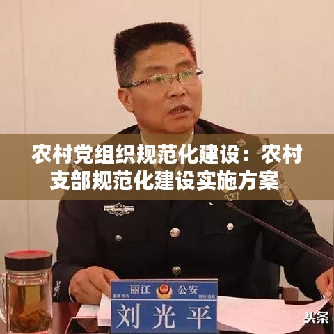 农村党组织规范化建设：农村支部规范化建设实施方案 