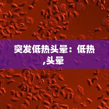 突发低热头晕：低热,头晕 