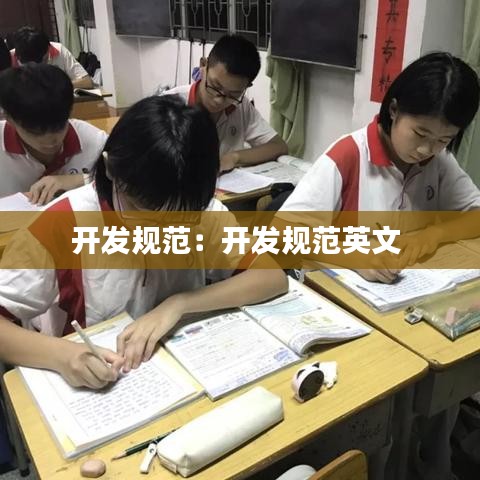 开发规范：开发规范英文 