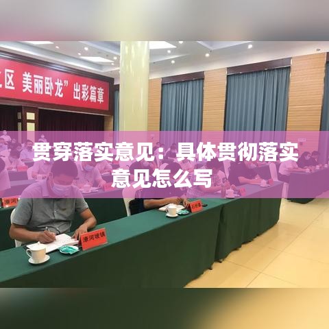 贯穿落实意见：具体贯彻落实意见怎么写 