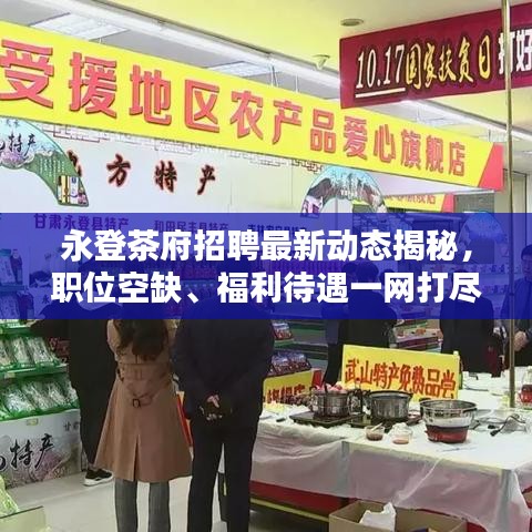永登茶府招聘最新动态揭秘，职位空缺、福利待遇一网打尽