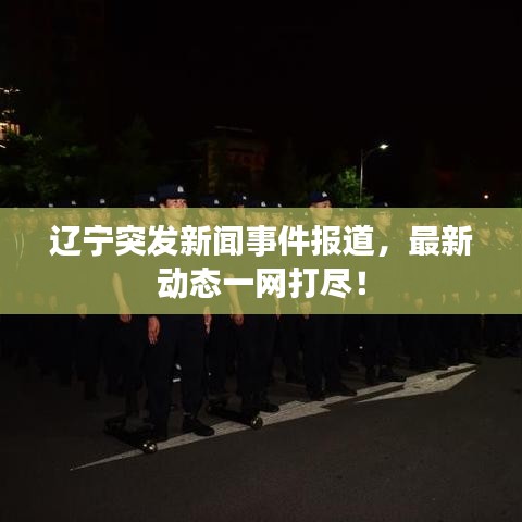 辽宁突发新闻事件报道，最新动态一网打尽！