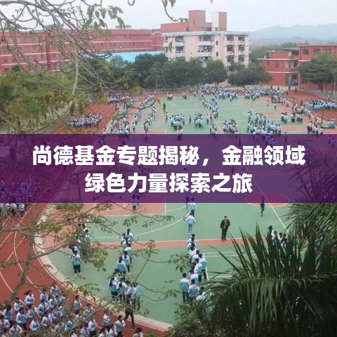 尚德基金专题揭秘，金融领域绿色力量探索之旅