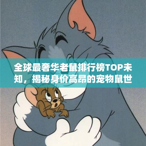 全球最奢华老鼠排行榜TOP未知，揭秘身价高昂的宠物鼠世界