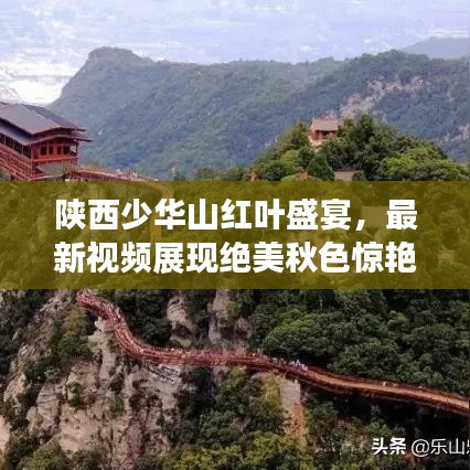 陕西少华山红叶盛宴，最新视频展现绝美秋色惊艳瞬间！