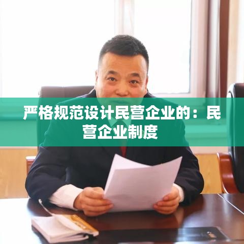 严格规范设计民营企业的：民营企业制度 
