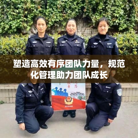 塑造高效有序团队力量，规范化管理助力团队成长